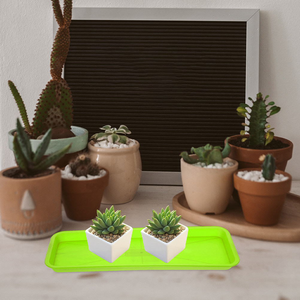 5 Set Nampan Pot Bunga Persegi - Outdoor Lighting Collections ulasan dan harga